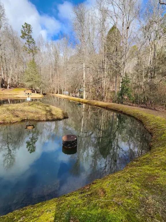 Cozy Cabin: River View With Hot Tub Dahlonega Exterior photo