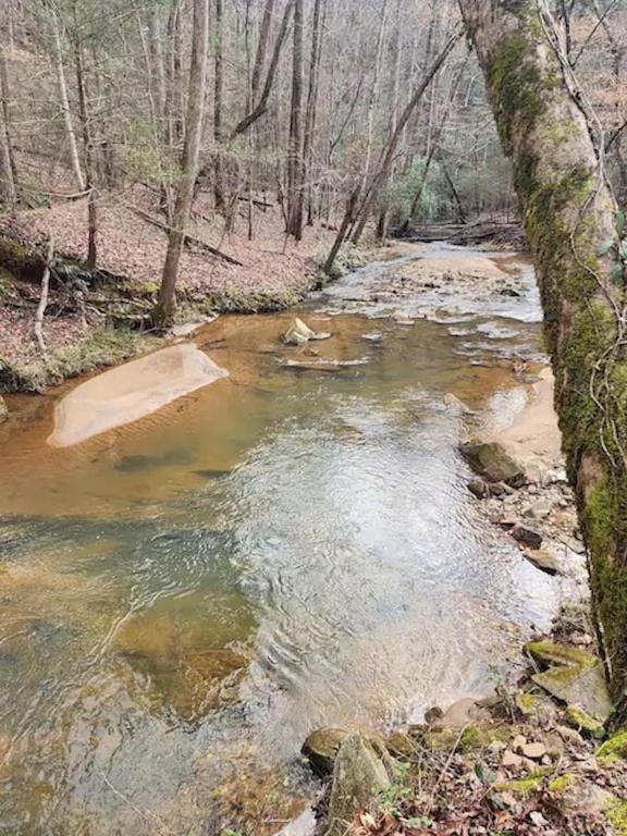 Cozy Cabin: River View With Hot Tub Dahlonega Exterior photo